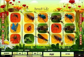 The Small Life  -  B3W